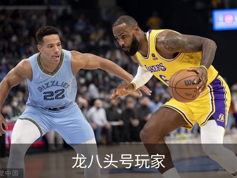 龙八头号玩家品牌故事